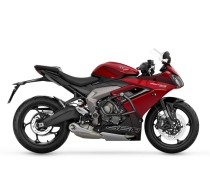 Клетка на мотоцикл TRIUMPH DAYTONA 660 CRAZY IRON серии DAMPER