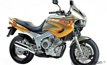 Слайдеры для мотоцикла  YAMAHA TDM850 CRAZY IRON