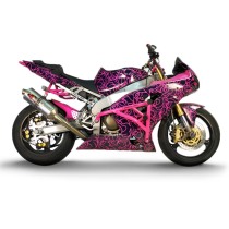 Клетка на мотоцикл KAWASAKI ZX-6R `03-`04 CRAZY IRON серии PRO