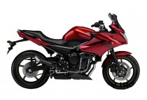 Дуги на мотоцикл YAMAHA XJ6 Diversion `09- CRAZY IRON серии STREET