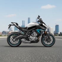 Клетка CFMOTO 675NK CRAZY IRON серии PRO