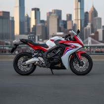 Клетка HONDA CBR650F 2014-2018 CB650F 2014-2019 CRAZY IRON серии DAMPER