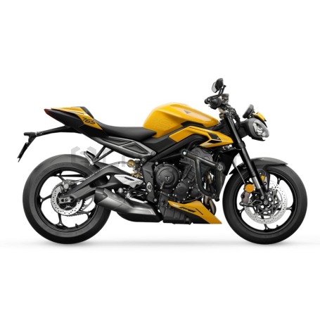 Клетка TRIUMPH STREET TRIPLE 765 R/RS 2017+ CRAZY IRON серии PRO (фото 2, фотография 2)