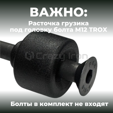 Грузики руля BMW F650GS, F800GS, F800R (2шт) 430 грамм, под болт М12 TORX (фото 7, фотография 7)