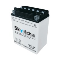 Аккумулятор для мотоцикла SKYRICH YB14L-A2 (134х89х166)