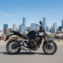 Клетка HONDA CB650R E-clutch CRAZY IRON серии PRO